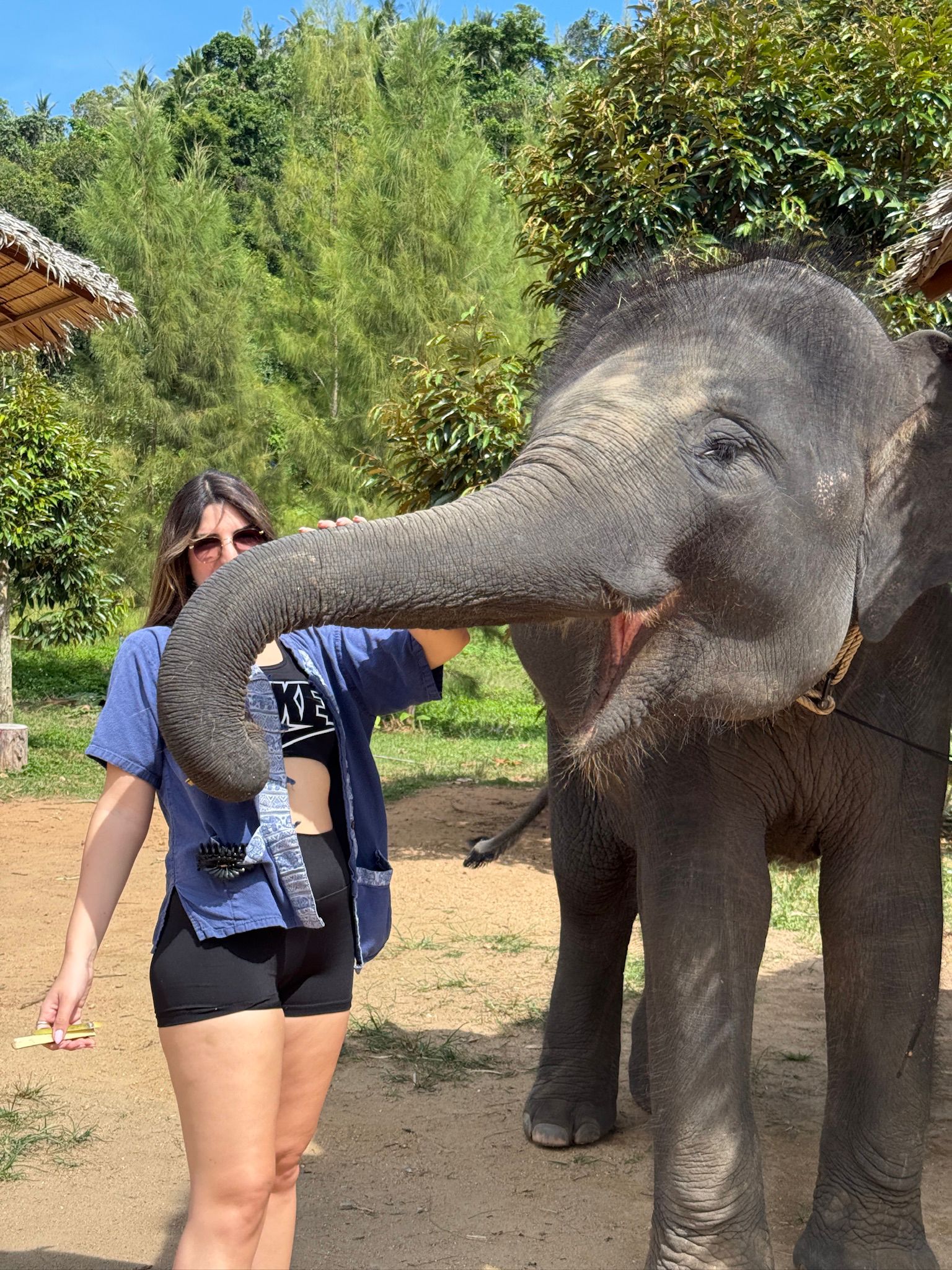 Image gallery marquee